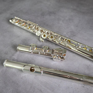 Muramatsu EX III RCEO