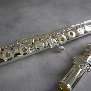 Muramatsu EX III RCEO