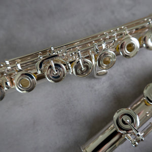 Muramatsu EX III RCEO