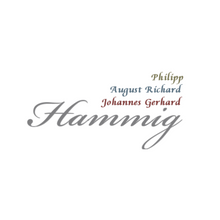 Lataa kuva Galleria-katseluun, August Richard Hammig Reform piccolon suukappale
