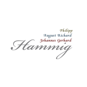 Käytetty Philipp Hammig 650/2 Str HKVR #26374 piccolo